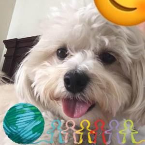 Meet your Posher, Jocelyn